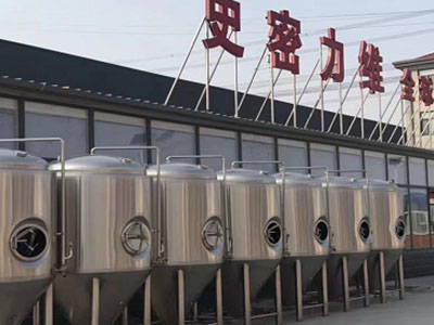 鄢陵精酿啤酒设备厂—市场规模与跨界新需求